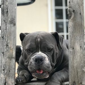 Meet your Posher, Lex